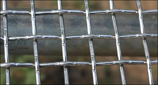 Stainless Steel Crimped Mesh